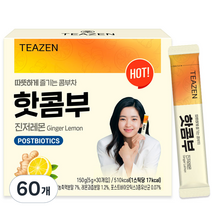 티젠 핫콤부 진저레몬차, 5g, 30개입, 2개