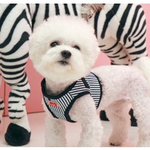 퍼피아 올치 강아지 고양이 목 가슴 줄 바비 하네스 B형, 네이비