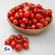 곰곰 GAP 대추방울토마토, 1kg, 6팩