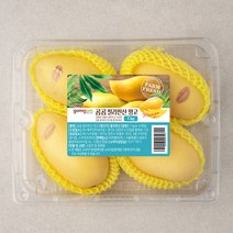 곰곰 필리핀 망고, 1kg, 1팩