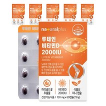 내츄럴플러스 루테인 비타민D 2000IU 7.8g, 60정, 6개