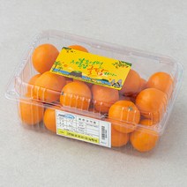 귤탐 고당도 하우스감귤, 1.2kg(2S~M), 1팩