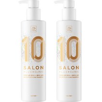 미쟝센 살롱 플러스 클리닉 10 샴푸 손상모발용, 500ml, 2개