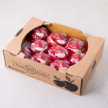 하이프루츠 저탄소인증 세척 사과, 2kg(중과,