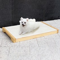 엔터펫 반려동물 대리석 원목 쿨매트 + 아이스팩 + 트레이, 혼합색상