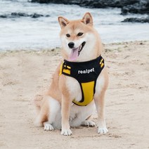 리얼펫 스포티 조끼 하네스, YELLOW
