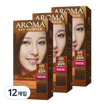 에네스티 아로마 염모제 멋내기용, 5/3 자연스런 금갈색, 12개입