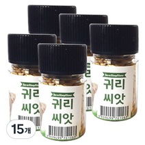 힐링타임 캣그라스 씨앗, 귀리, 15개