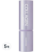 참존 콜라겐 멀티 스틱, 11g, 5개