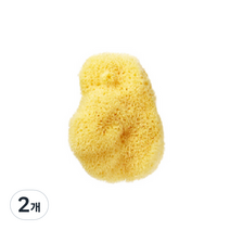 뷰티풀스킨 세안용 천연해면 스펀지 라지, 2개