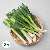 국내산 친환경 절단대파, 1kg, 2개