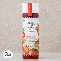 오늘의일상 자몽에이드 원액, 400ml, 3개