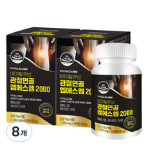 바이탈큐브 관절연골 엠에스엠 2000 66g, 8개