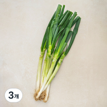 곰곰 국내산 흙대파, 1kg, 3개