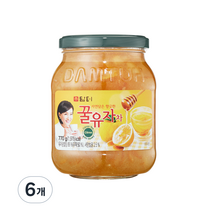 담터 꿀유자차, 770g, 1개입, 6개
