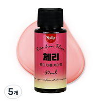 로티 식품향료 체리향 아롬 30ml, 30g, 5개