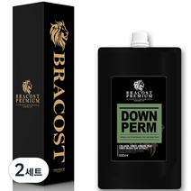 브라코스트 셀프 다운펌 건강모 + 시술도구 풀세트, 500ml, 2세트