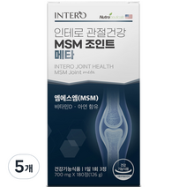 인테로 관절건강 MSM 조인트 메타 126g, 180정, 5개