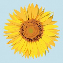 플레이어바웃 명화 그리기 DIY 세트 한송이 해바라기 피포페인팅 20 x 20 cm, 혼합색상