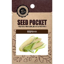월드가드닝 행복한 텃밭 좋은 씨앗 흰찰옥수수씨 60그램, 1개