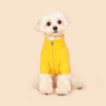 플로트 강아지 스탠다드 후리스 집업, 옐로우