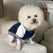 바이담수미 강아지 강아지학교 점퍼, 네이비