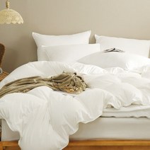 라셀렌 폴란드 거위털 다운80 빌리프 차렵 구스이불 800g, 스노우화이트