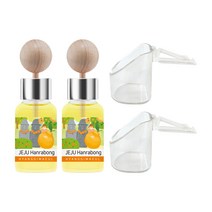 향기마을 차량용 송풍구 디퓨저 본품 17ml x 2p 세트, 제주한라봉, 1세트