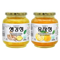 견과공장 프리미엄 생강청 950g + 유자청 1kg, 1세트