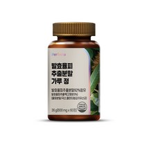 퍼펙토 발효율피 추출분말 가루 36g, 60정, 1개
