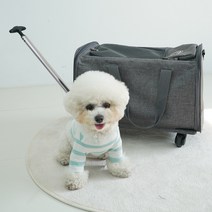 레드퍼피 반려동물 끌레 캐리어 이동가방, 그레이