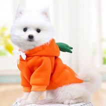 MOCO 앙증 기모 강아지 후드티, 당근