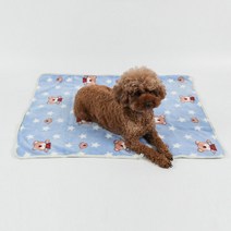 딩동펫 반려동물 이지 극세사 이불담요, 스타베어 스카이