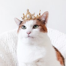 반려동물 왕관, 골드