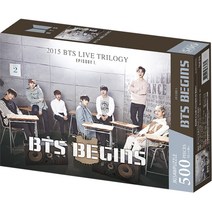 방탄소년단 비긴즈 직소퍼즐 DW500-464, 500피스, 혼합색상
