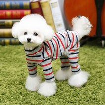 펫디자인 더블ST 올인원, 그레이