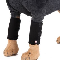 TCR 반려견 다리 보호대 무릎 패드 L, 블랙, 2개