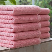 기라로쉬 프리미엄 텐센모달 더블라인 호텔 타월 200g, 핑크, 10개