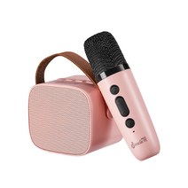 미라클엠 미니 블루투스 마이크 + 스피커 세트 핑크, M42(핑크)