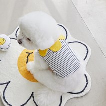 베니즈 반려동물 페어리 카라 티셔츠, 화이트