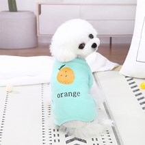 반려동물 달콤스위트 심플 강아지 트레이닝복 올인원, 블루