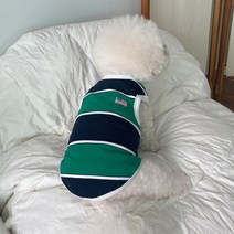 바이담수미 강아지 럭비 나시, 그린