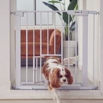 보니렌 티니도어 안전문, 화이트