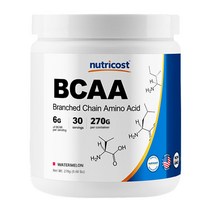 BUP BCAA몬스터 500g 2통 소다맛/파인애플/레몬/포도/복숭아/사과/오렌지/체리/망고 아미노산 헬스보충제 BCAA, 망고, 소다, 2개