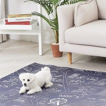 리꾸 러그형2 펫매트, 도로네이비 + 패브릭그레이