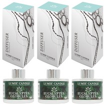 르미에 식물성 주정 디퓨저 100ml x 3p + 리드스틱 5p x 3개 세트, 유칼립투스
