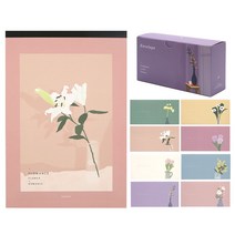 핑크풋 플로망스 패드편지지 + 플로망스 가로봉투 8종 x 12p 세트, 1세트, 랜덤발송(패드편지지), 혼합색상(봉투)