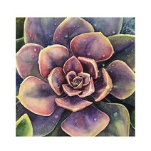 케이엠엘리 3D 액자형 사각 보석 십자수 DIY 40 x 40 cm, 에케베리아, 1개