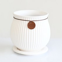 도시정원 모던 원턱단지 도자기 화분세트 512, 화이트