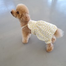 바이굄 반려동물 꽃송이 호박 바지, 옐로우